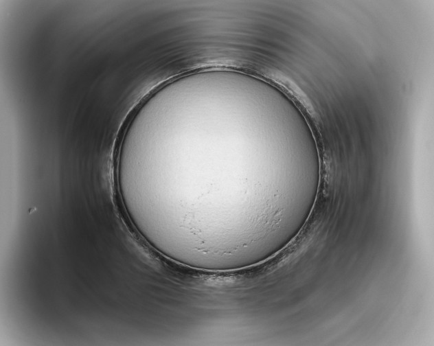 X0000094780890200711301544