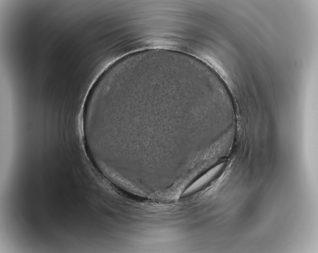 X0000094780891200711301544