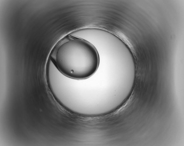 X0000094780892200711301544
