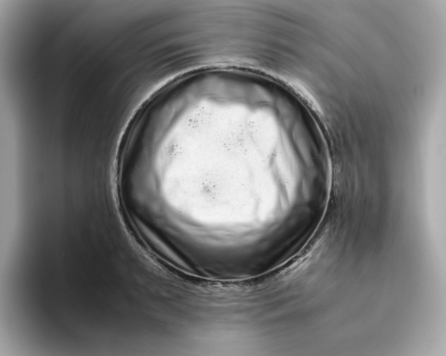 X0000094780895200711301544