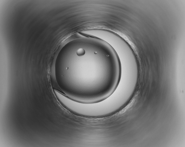X0000094780897200711301544