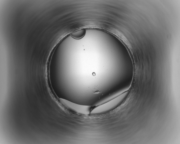 X0000094780898200711301544