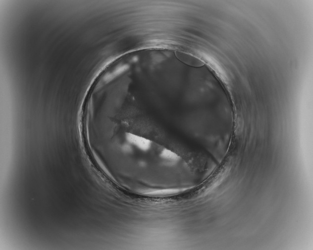 X0000094780899200711301544