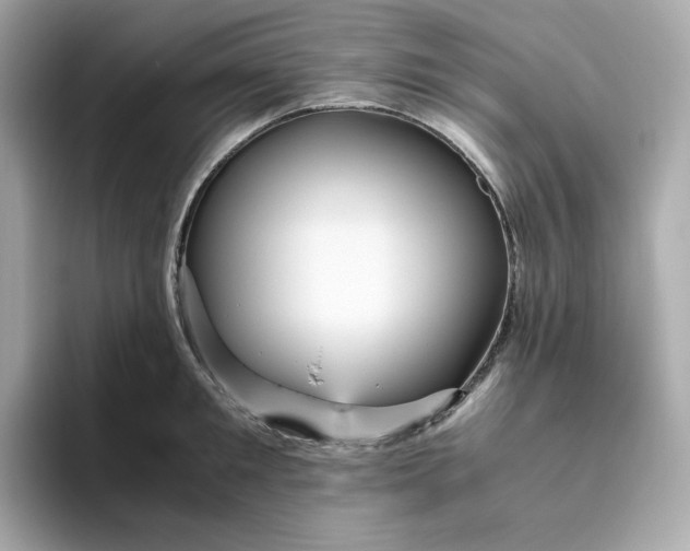 X0000094780901200711301544
