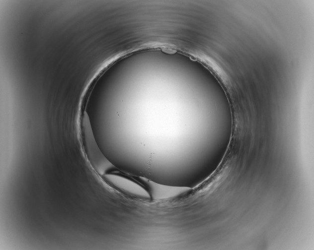 X0000094780902200711301544