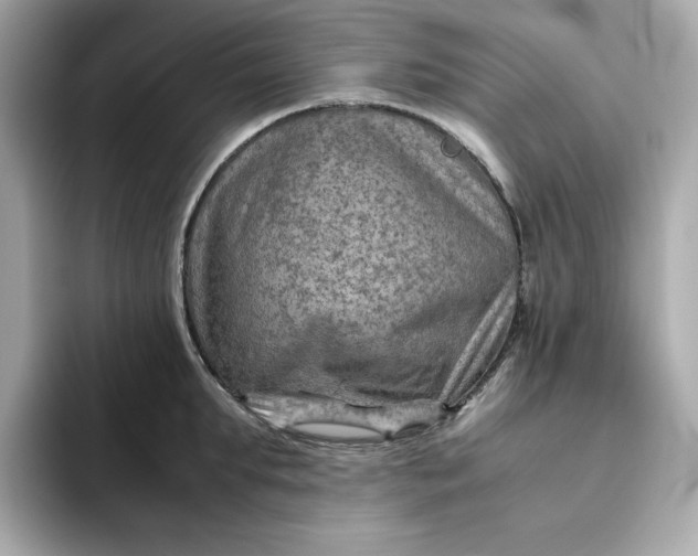 X0000094780903200711301544