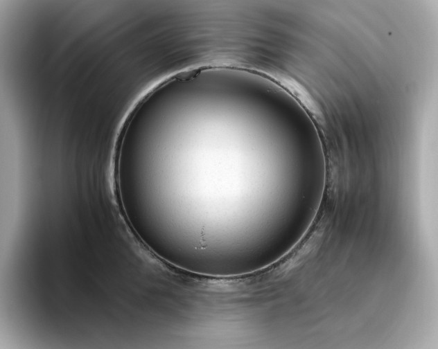 X0000094780904200711301544