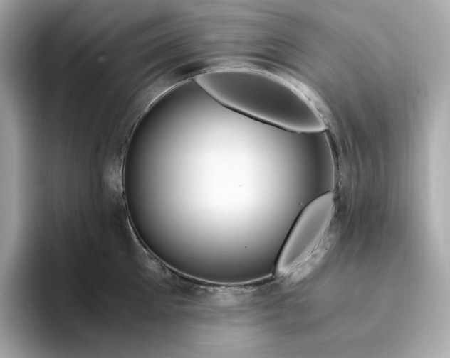 X0000094780905200711301544