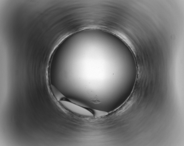 X0000094780906200711301544