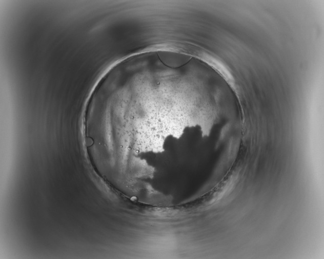 X0000094780907200711301544