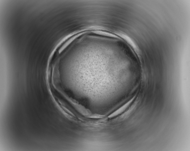 X0000094780910200711301543