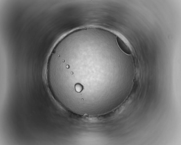 X0000094780911200711301543