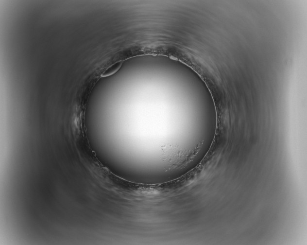 X0000094780914200711301543