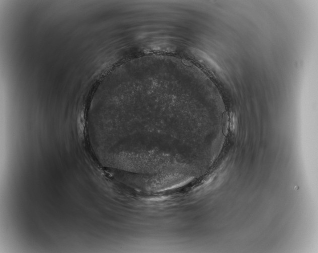 X0000094780915200711301543