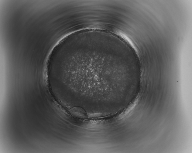 X0000094780923200711301543