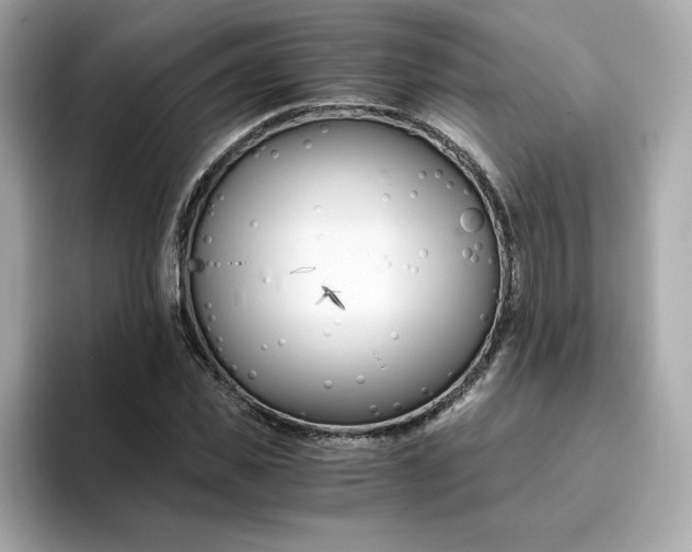 X0000094780925200711301543