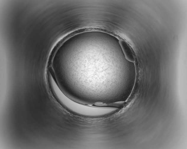 X0000094780928200711301543