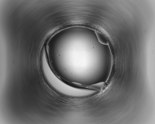 X0000094780930200711301543