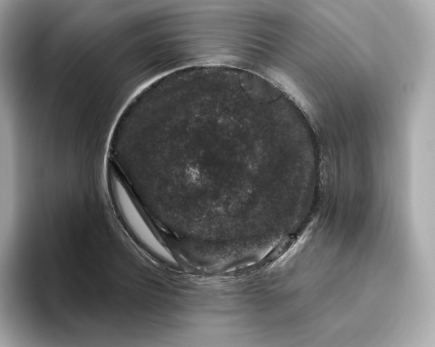 X0000094780932200711301543