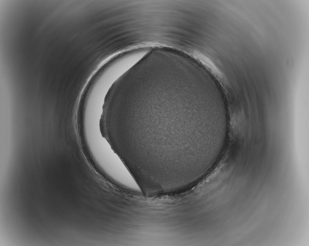 X0000094780934200711301543