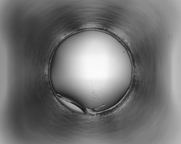 X0000094780937200711301543
