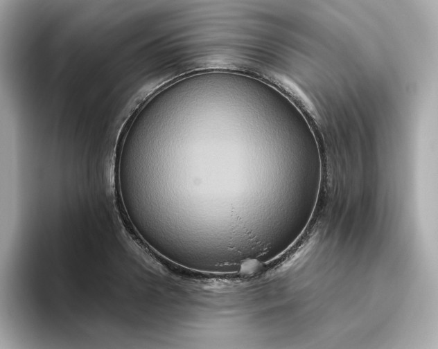 X0000094780938200711301543