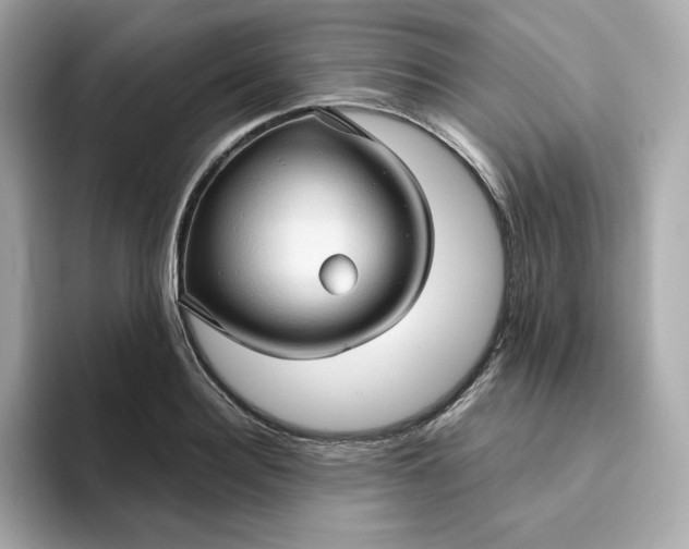 X0000094780940200711301543