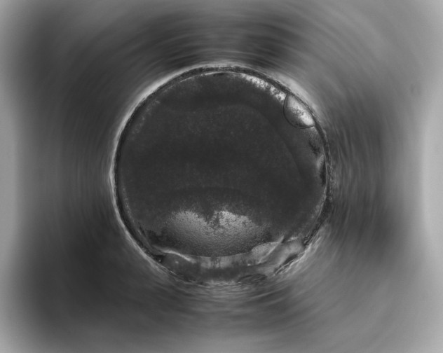 X0000094780943200711301543
