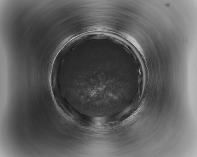X0000094780946200711301543