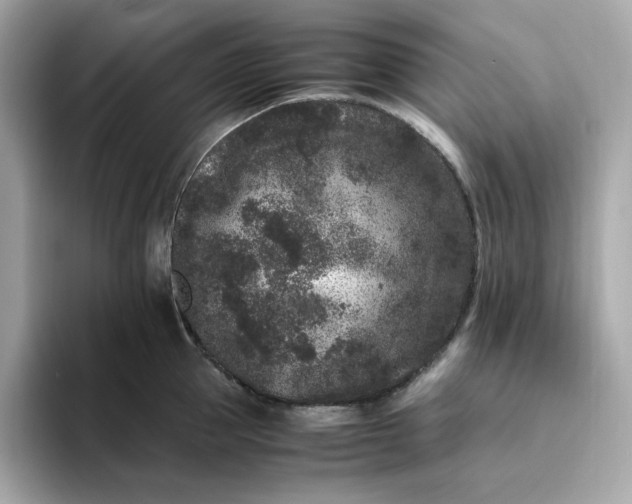X0000094780953200711301543