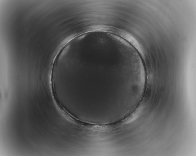 X0000094780954200711301543