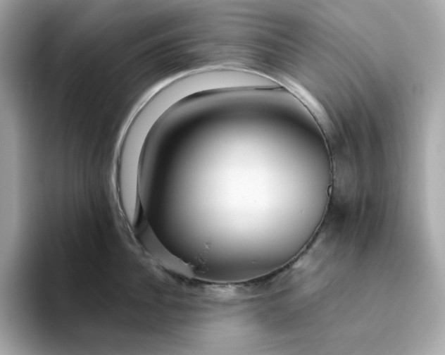 X0000094780956200711301543