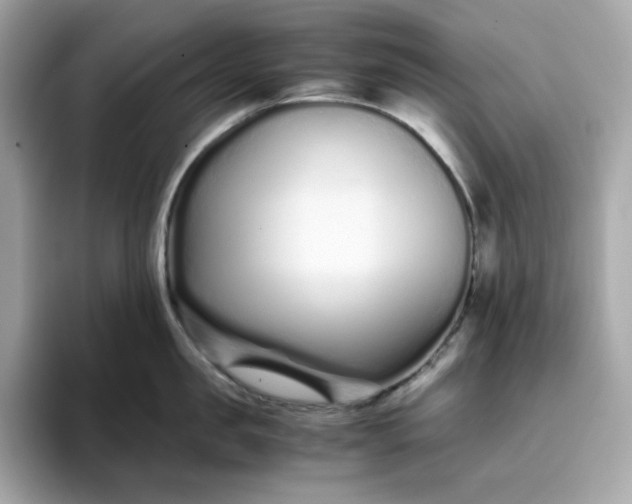 X0000094780957200711301543