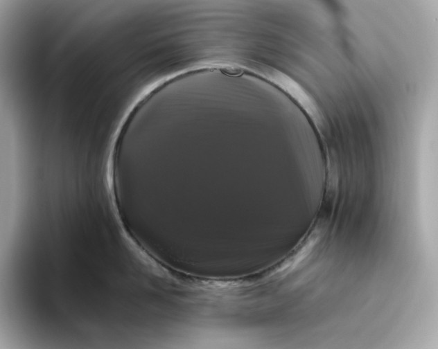 X0000094780958200711301543