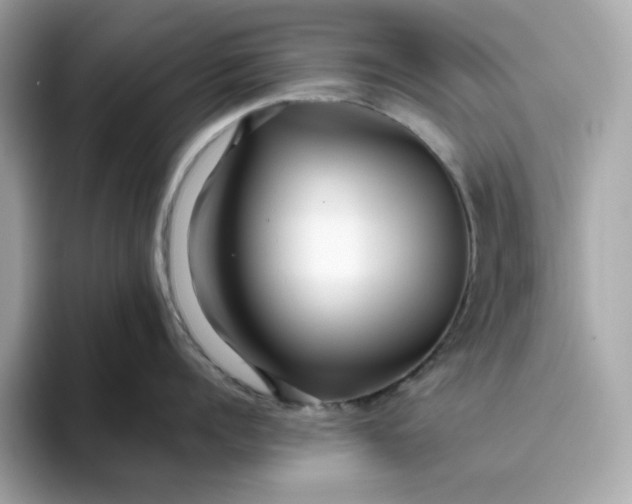 X0000094780960200711301543