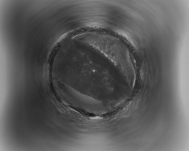 X0000094780968200711301543