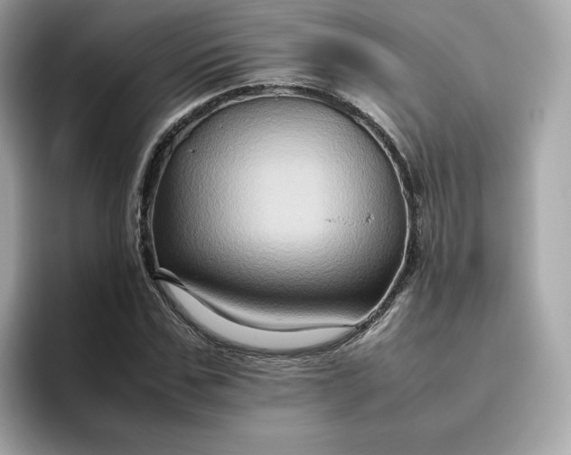 X0000094780971200711301543