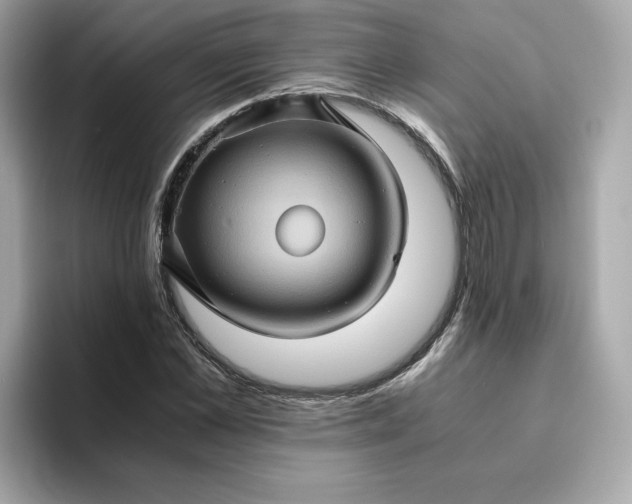 X0000094780973200711301543