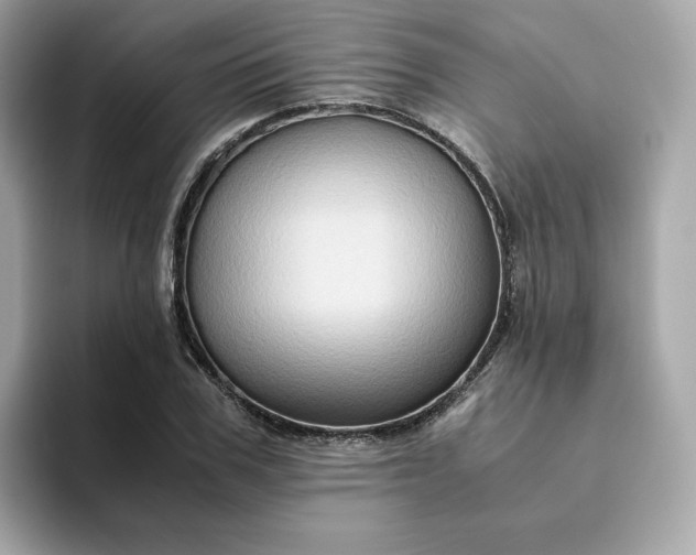 X0000094780979200711301543