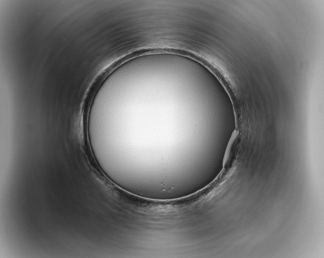 X0000094780982200711301543