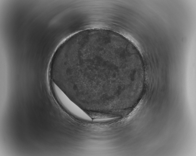 X0000094780983200711301543