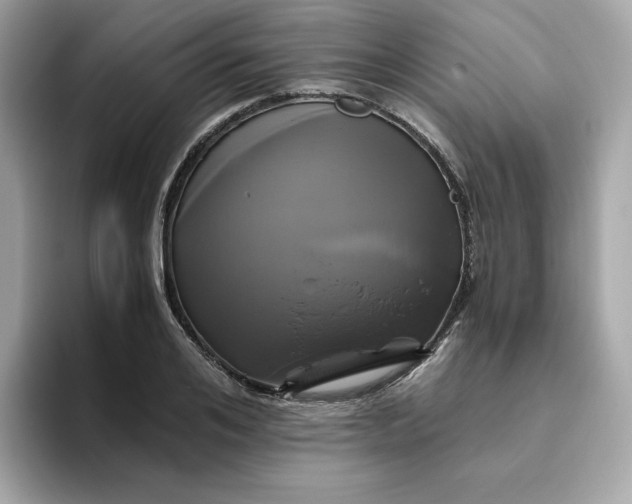 X0000094780984200711301543