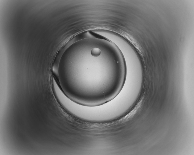 X0000094780985200711301543