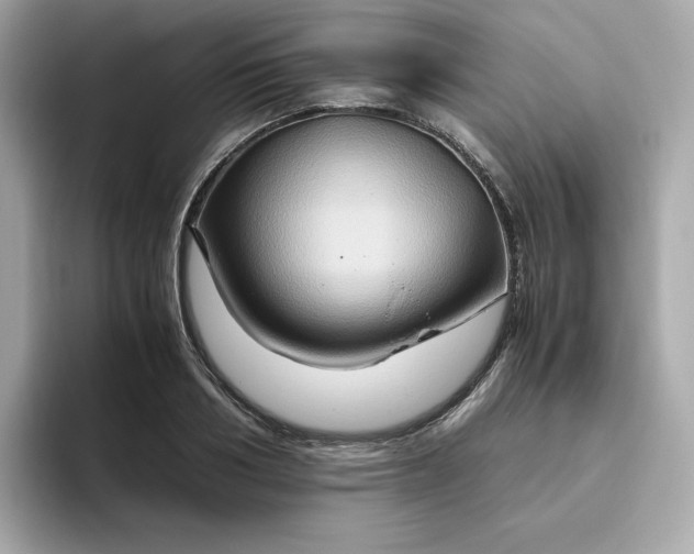 X0000094780986200711301542