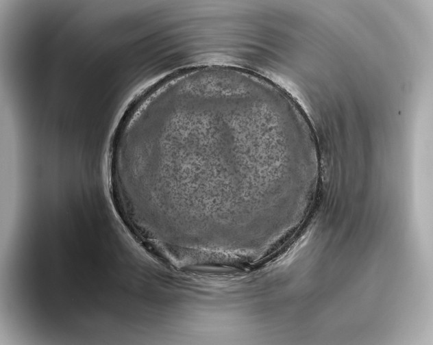 X0000094780987200711301542