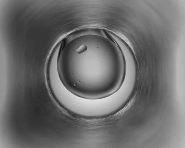 X0000094780989200711301542