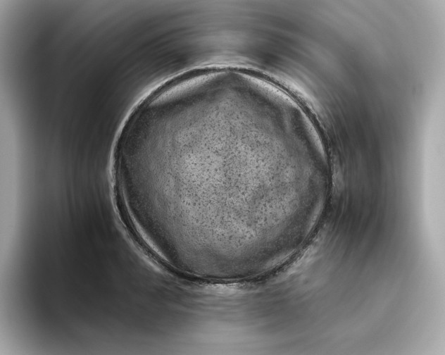 X0000094780990200711301542