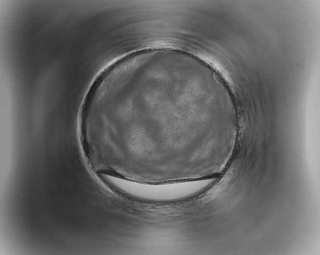 X0000094780991200711301542