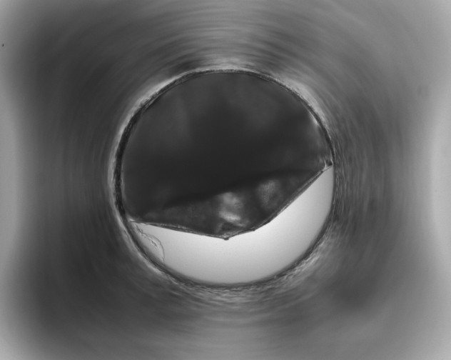 X0000094780995200711301542