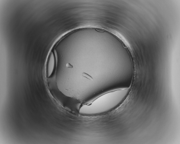 X0000094780996200711301542